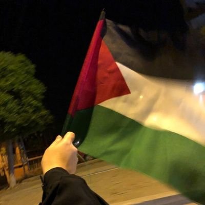 free palestine🇵🇸❤️