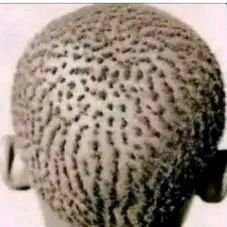 @Political_science and @Public_Administration
@Chelsea,@Yanga,@RealMadrid