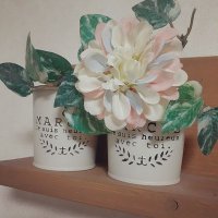 Flower (@24ggihdhu9sb5eo) 's Twitter Profile Photo Flower (@24ggihdhu9sb5eo) 's Twitter Profile Photo