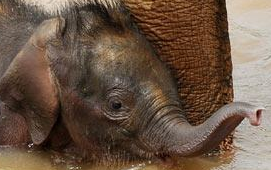 Evalucci's profile picture. I am me, uniquely me.