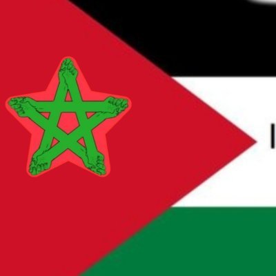 R Nasiriض 🇲🇦🇵🇸