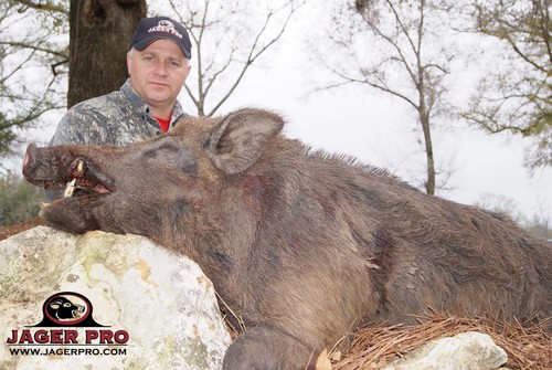 HOGhuntguide's profile picture. Owner of Southern Hog Control. Jager Pro tactical boar hunting guide