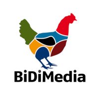 Sondaggi Bidimedia(@SBidimedia) 's Twitter Profile Photo