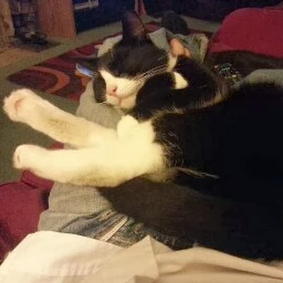 Gatoman66666's profile picture. 