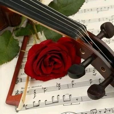 @gordana20197