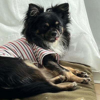 RbEpW9UqMl80736's profile picture. 