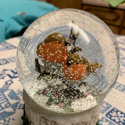 SheThrivesNow's profile picture. Bye Yo. 🎼 RESILIENCE MYSTIC. ❤️Thank you God🙏Being born into this Life is a gift. We should strive to honor that gift by living our Lives to the fullest. 🙏