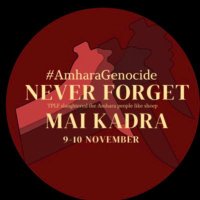 ኢትዮጵያዊ (@mulatalem) 's Twitter Profile Photo ኢትዮጵያዊ (@mulatalem) 's Twitter Profile Photo