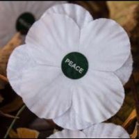 Sue Lees (@sue_lees) 's Twitter Profile Photo Sue Lees (@sue_lees) 's Twitter Profile Photo