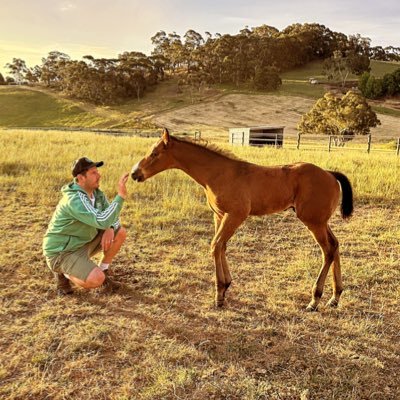 Foxcatcher. Crows. Punting. Form Analyst. Bookmaker. Breeder.