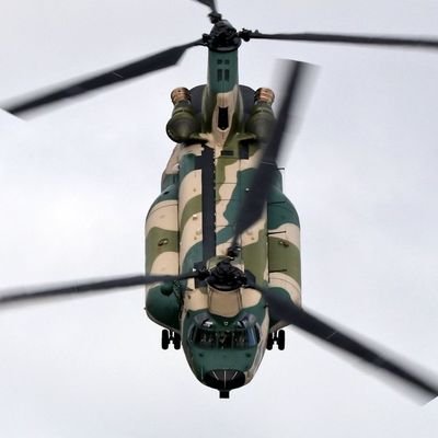 ktizucdb11hxyo's profile picture. 