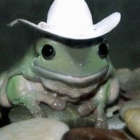 Banditfrog (@banditfrog764) 's Twitter Profile