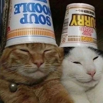 Thomash66427699's profile picture. seafood flavored