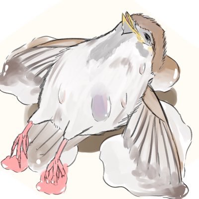 FOck_uTA's profile picture. デタラメハジスズメ