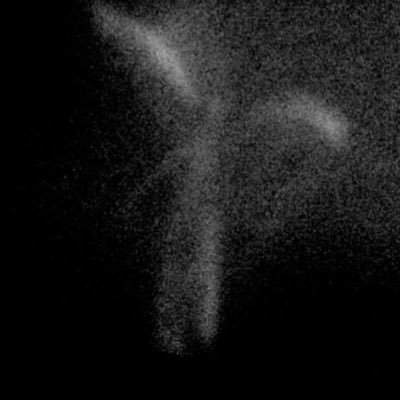 AnnelieBer64306's profile picture. 