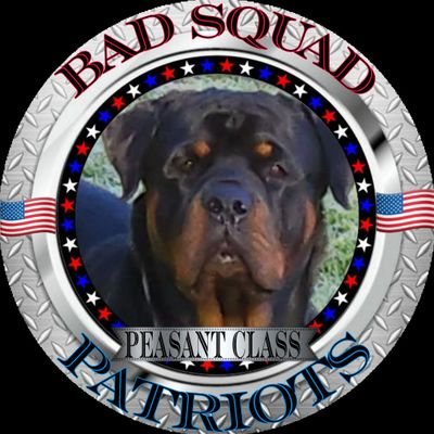 peasantclass1 Profile Picture