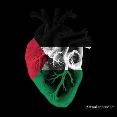 Student at the Fuclty of engineering At BSU 👷❤️