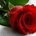 Mustafa Kara (@mustafakar69925) Twitter profile photo Mustafa Kara (@mustafakar69925) Twitter profile photo