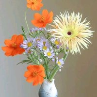 Lovely you❣️❤️💓💕 (@shapla70) 's Twitter Profile