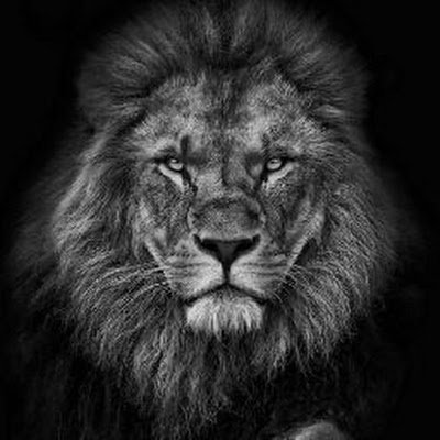 dev7251's profile picture. Dr.