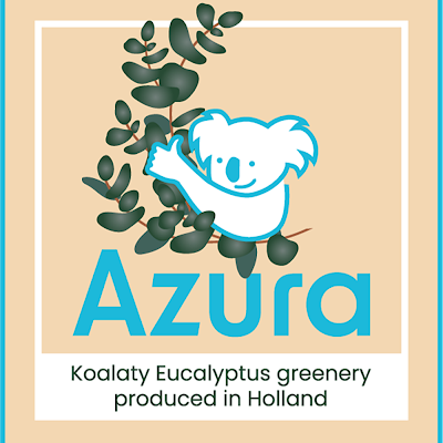 Exclusieve kwekersgroep “Azura Greenery“, waar we de kunst van het kweken van Eucalyptus Azura siertakken tot in de perfectie hebben verfijnd.