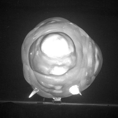 piwozapasowe's profile picture. 