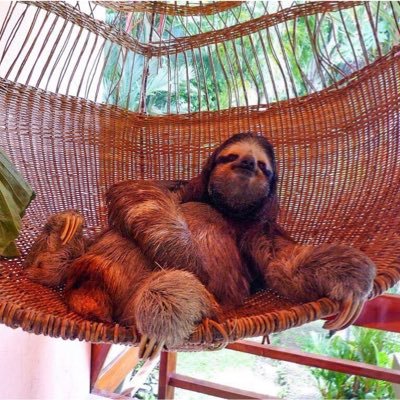 KaisNaim's profile picture. 