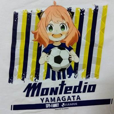 ゴール裏、腰痛持ち。モンテ関係者皆さま家族で箱推し🫶来る者愛し去る者追わず。蔵王の麓から山形愛を叫んでます🏔️💙(平和に生きたいので批判政治宗教副業系お断り)