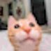 blurry catw (@blurrycatw) Twitter profile photo