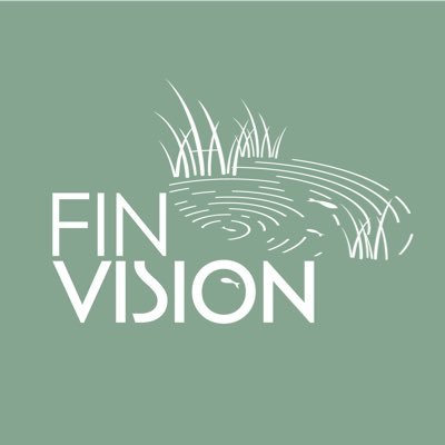 FinVision Profile