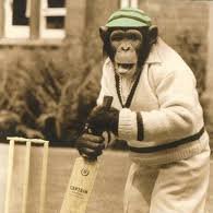 Cricket Variety Chimp (@cricchimp) 's Twitter Profile Photo Cricket Variety Chimp (@cricchimp) 's Twitter Profile Photo