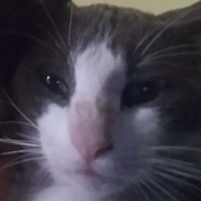 NexSaifer's profile picture. 