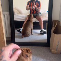bld (@bradddlewisss) 's Twitter Profile