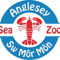 Anglesey Sea Zoo 🌊🐟🦀🐙🦑🌊(@angleseyseazoo) 's Twitter Profile Photo