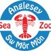 Anglesey Sea Zoo 🌊🐟🦀🐙🦑🌊 (@angleseyseazoo) Twitter profile photo