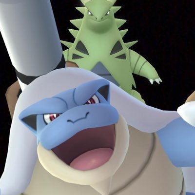 Vp9P5UsowL25576's profile picture. アダアフィと物販