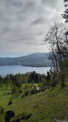 Anita_Lepin's profile picture. Que dejemos la risa como herencia 🎵☀️

🌱