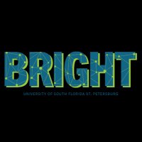 The BRIGHT Network(@bright_network_) 's Twitter Profile Photo