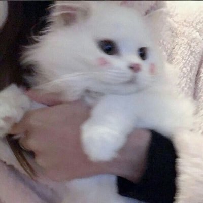 xiaooo_____'s profile picture. 04
