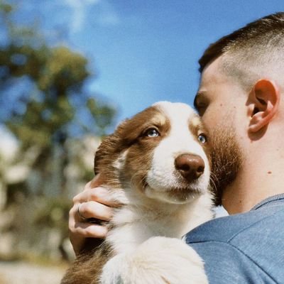 gamalmeida's profile picture. alguma frase motivadora