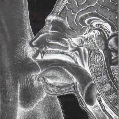 Hellboy3xxx's profile picture. +🔞 Solo morbo, NO SALIDAS.