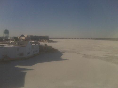 tracidavies03's profile picture. 