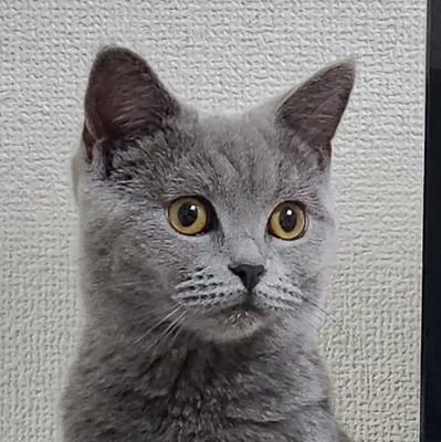 Midoryさんのプロフィール画像