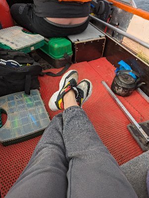 hochuvtwi's profile picture. 