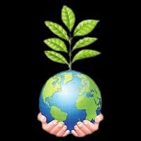 divakarareddy's profile picture. Chief Manager (Bank) Note: R.Ts are not endorsements and Tweet are personal views.