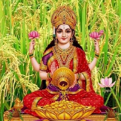 Jay mata di