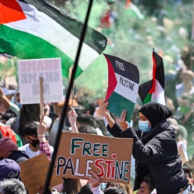 Palestinian Americas created a thread for Protests and Actions for a #FreePalestine across the US Please Follow or @ me so we can repost your actions