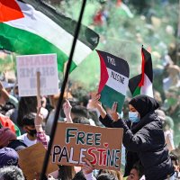 Action for Palestine USA (@actionforpal) 's Twitter Profile