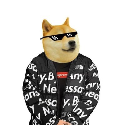 s1mpster95's profile picture. 