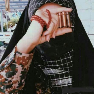Nafiseh_mir_a's profile picture. هم نظری هم خبری هم قمران را قمری
هم شکر اندر شکر اندر شکر اندر شکری